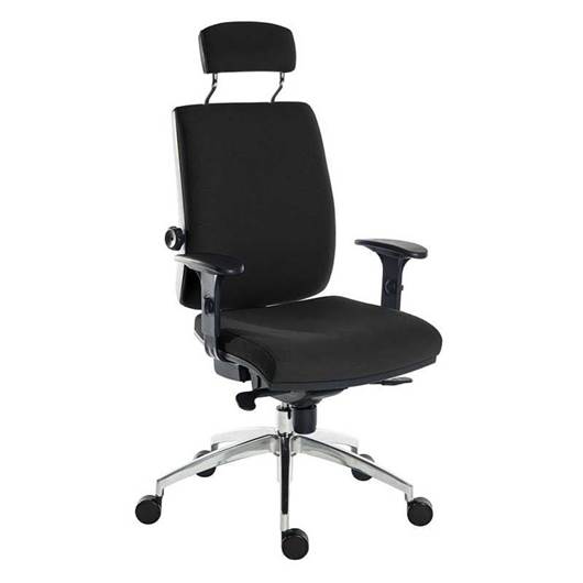 Picture of Ergo Plus HR Premier Chair with Armrests